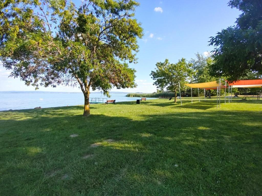 Sir David Balaton Castle Apartmanok บาลาตอนส์เซแปซด์ ภายนอก รูปภาพ