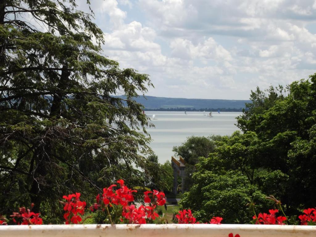 Sir David Balaton Castle Apartmanok บาลาตอนส์เซแปซด์ ภายนอก รูปภาพ