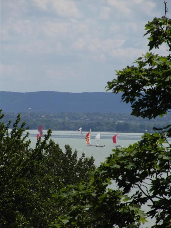 Sir David Balaton Castle Apartmanok บาลาตอนส์เซแปซด์ ภายนอก รูปภาพ