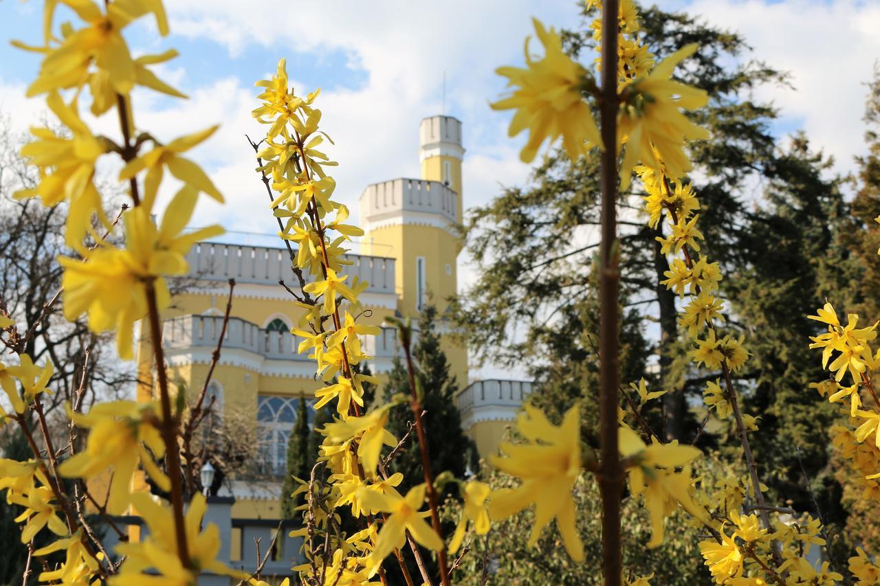 Sir David Balaton Castle Apartmanok บาลาตอนส์เซแปซด์ ภายนอก รูปภาพ