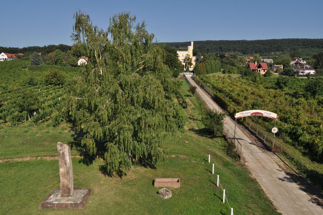 Sir David Balaton Castle Apartmanok บาลาตอนส์เซแปซด์ ภายนอก รูปภาพ